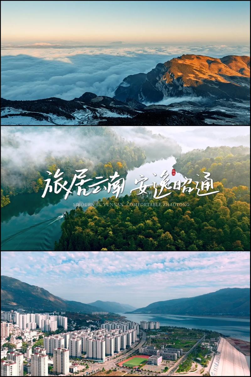 上海广告公司的最新趋势与发展